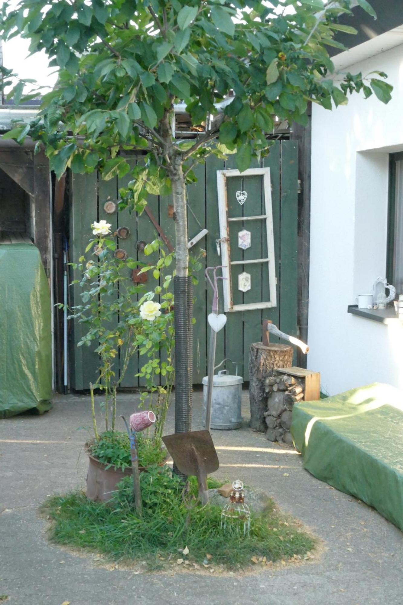 Ferienhaus Mit Minibauernhof Munster im Heidekreis Extérieur photo