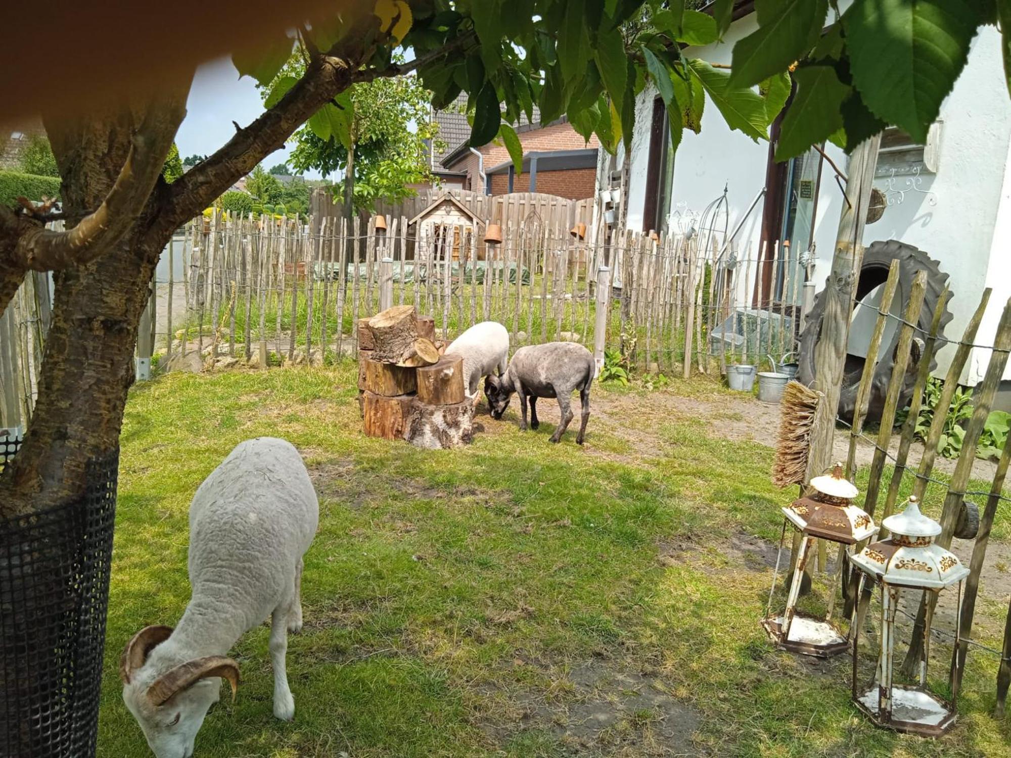 Ferienhaus Mit Minibauernhof Munster im Heidekreis Extérieur photo